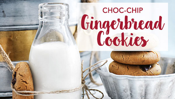 Choc-Chip Gingerbread Cookies
